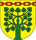 Coat of arms of Cetenov