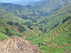 Skyline of Kabale viloyati