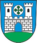 Ryjice
