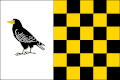 {{{rasmiy_nomi}}}ning bayrogʻi