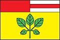 {{{rasmiy_nomi}}}ning bayrogʻi