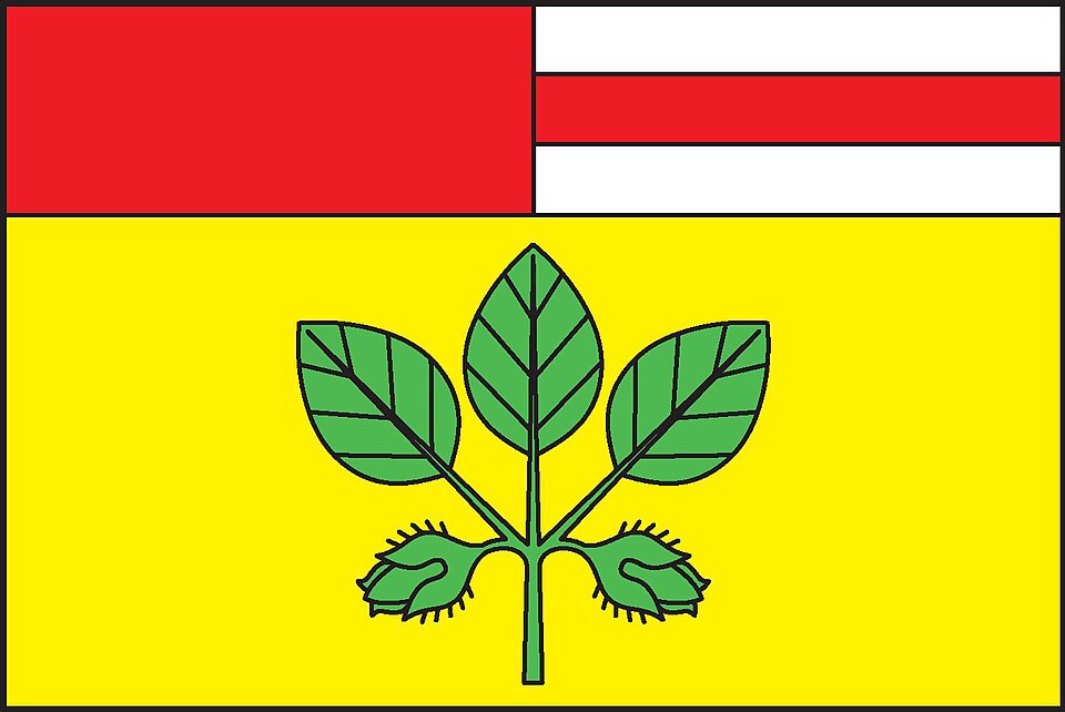 Fayl:Bukovec (Domažlice District) Flag.jpg