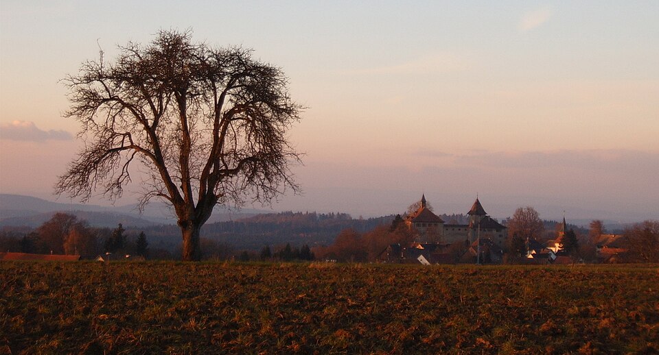 Fayl:Kyburg Castle.jpg