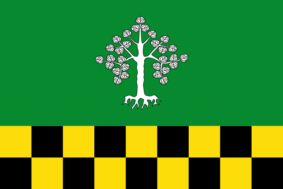 Fayl:Bandera d'Albesa.svg