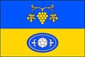 Flag of Borkovany