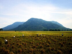 Skyline of An Giang provinsiyasi