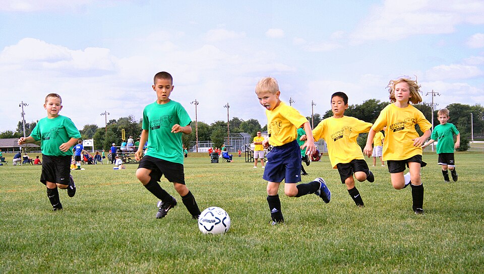 Fayl:Youth-soccer-indiana.jpg