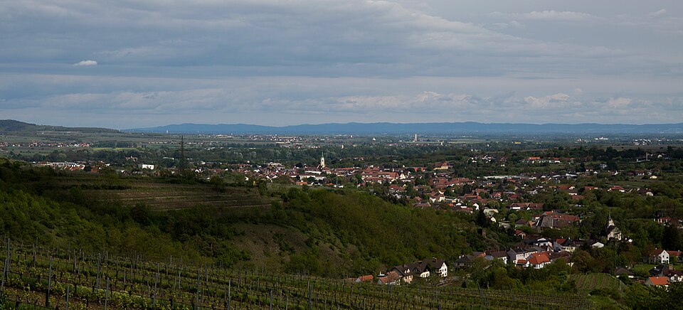 Fayl:Langenlois CF9A7948.jpg
