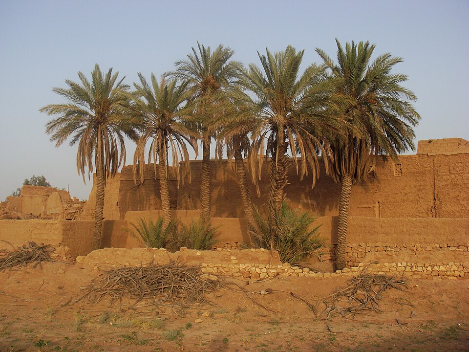 Fayl:Majmaah palm trees.JPG