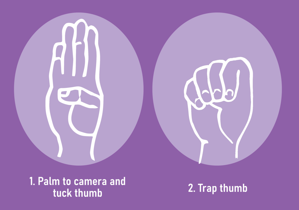 Fayl:Signal for Help gestures.png