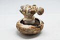 Agaricus bisporus
