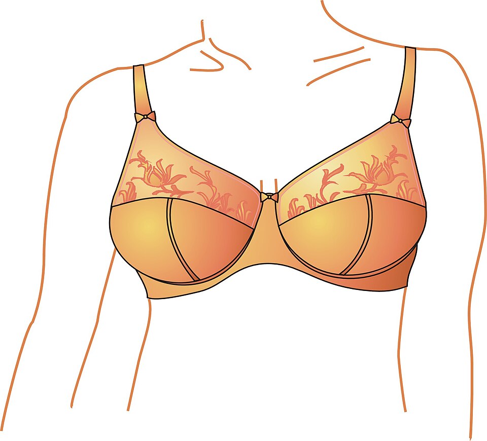 Fayl:Modern bra fullcup.jpg