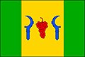 {{{rasmiy_nomi}}}ning bayrogʻi