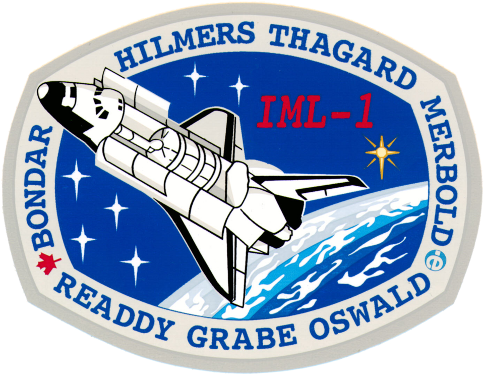 Fayl:Sts-42-patch.png