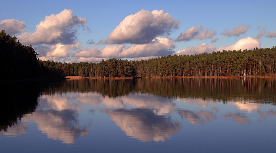 Fayl:Viitna Suurjärv (foto Martin Suuroja).jpg