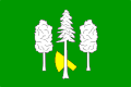 {{{rasmiy_nomi}}}ning bayrogʻi