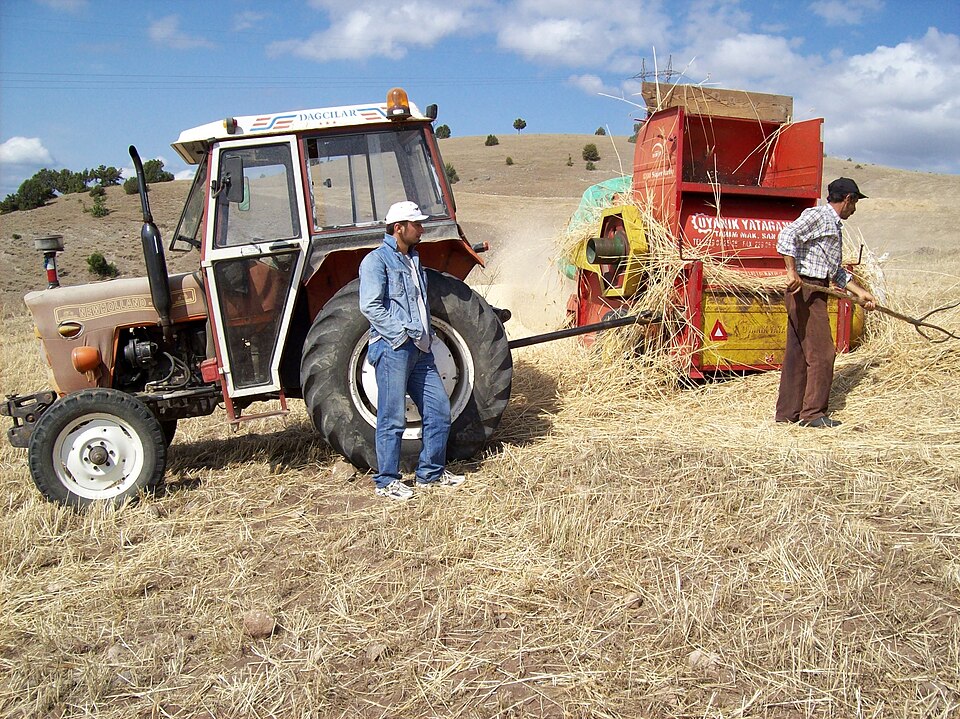 Fayl:Wheat Harvesting.jpg