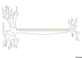 23:36, 2013-yil 25-may dagi versiya uchun tasvir