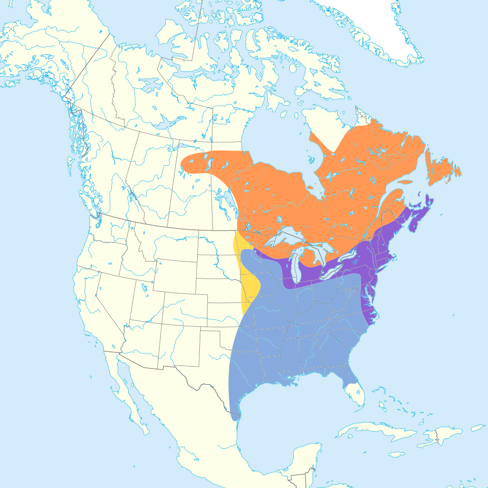 Fayl:Anas rubripes map.svg