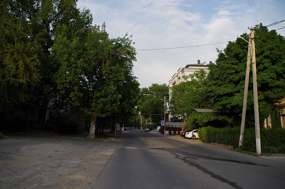 Fayl:Rakat002.jpg