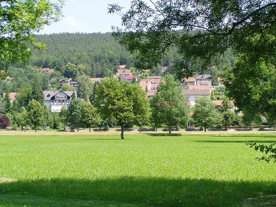 Fayl:Bocklet-vom-Kurpark.JPG