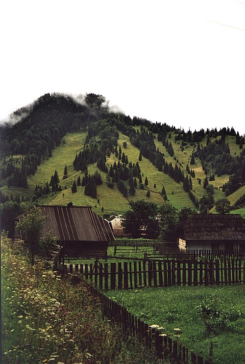 Fayl:Bucovina1.cristibur.jpg