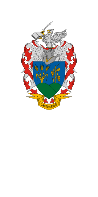 Fayl:Flag of Ládbesenyő.svg