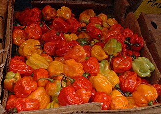 Karib dengizi bozorida skotch bonnet chili qalampiri