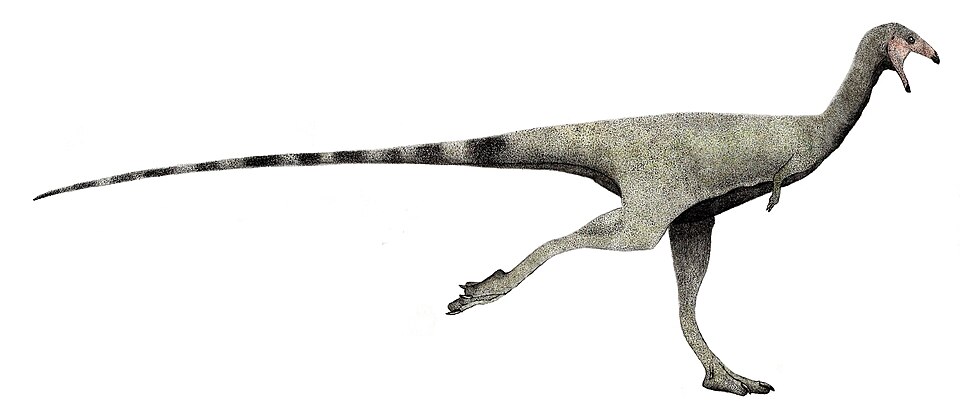 Fayl:Limusaurus runner (flipped).jpg