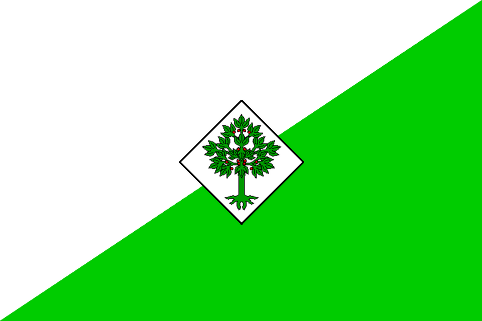 Fayl:Bandera Lloret.png