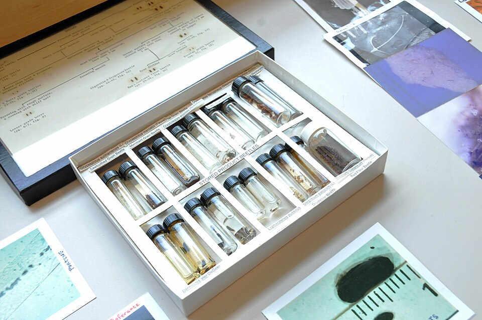 Fayl:Entomology at FDA (15588811060).jpg