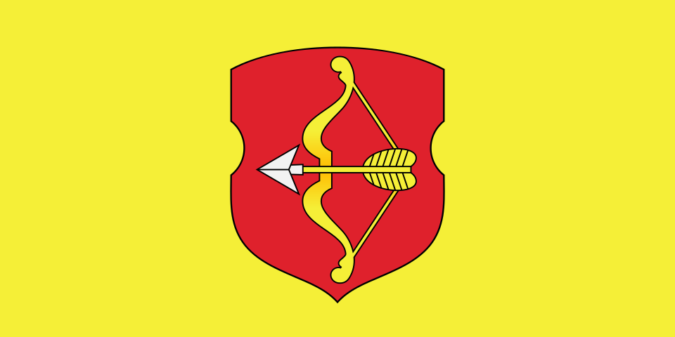 Fayl:Flag of Pinsk.svg