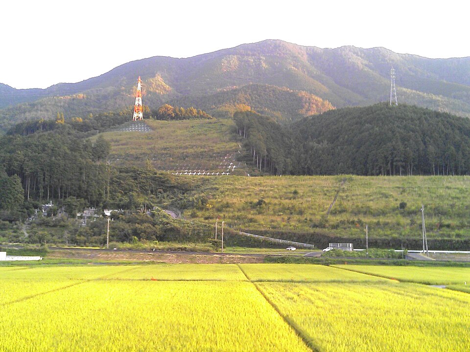 Fayl:Ozu rice paddies.jpg