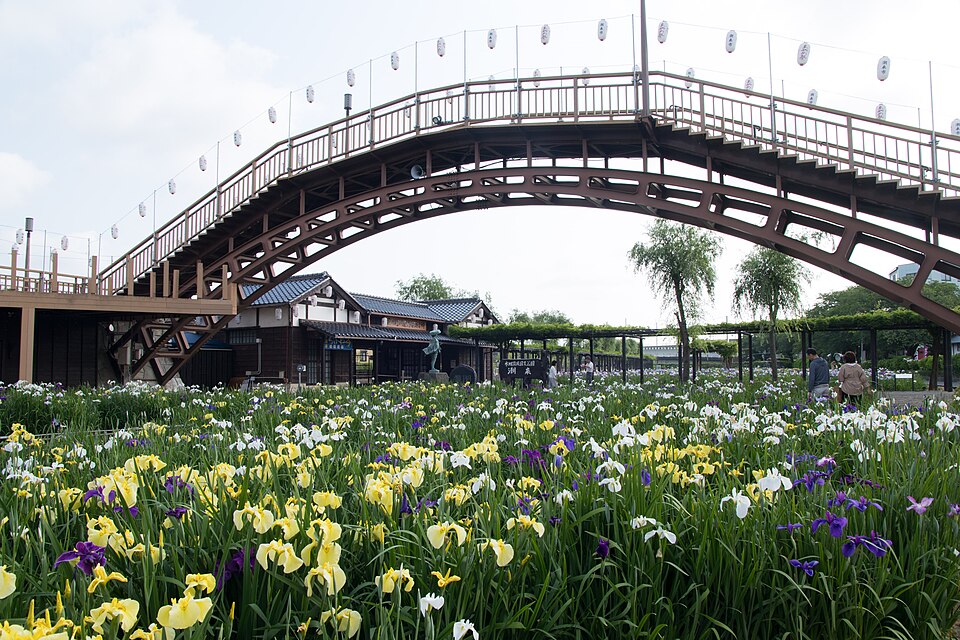 Fayl:Suigo Itako Ayame Garden 07.jpg