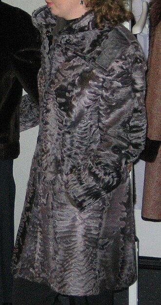 Fayl:Swakara Karakul fur coat.jpg