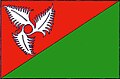 {{{rasmiy_nomi}}}ning bayrogʻi