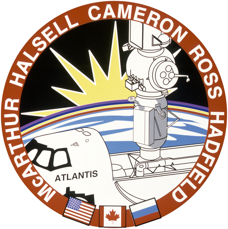 Fayl:Sts-74-patch.png