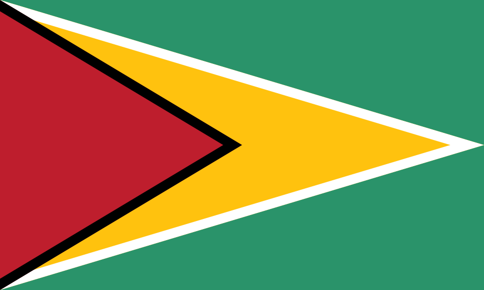 Fayl:Flag of Guyana.svg