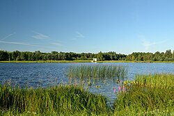 Skyline of Kaunissaare