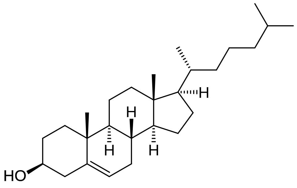 Fayl:Cholesterol.svg