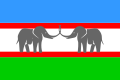 Namibiyaning Kaprivi Afrika milliy birligi siyosiy partiyasi bayrogʻi