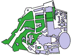St. Peter's Basilica is located in Vatican City