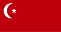 Ozarbayjon SSR bayrogʻi 1920—1921-yillarda.