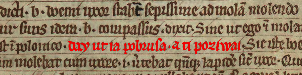 Fayl:Book of Henryków.PNG