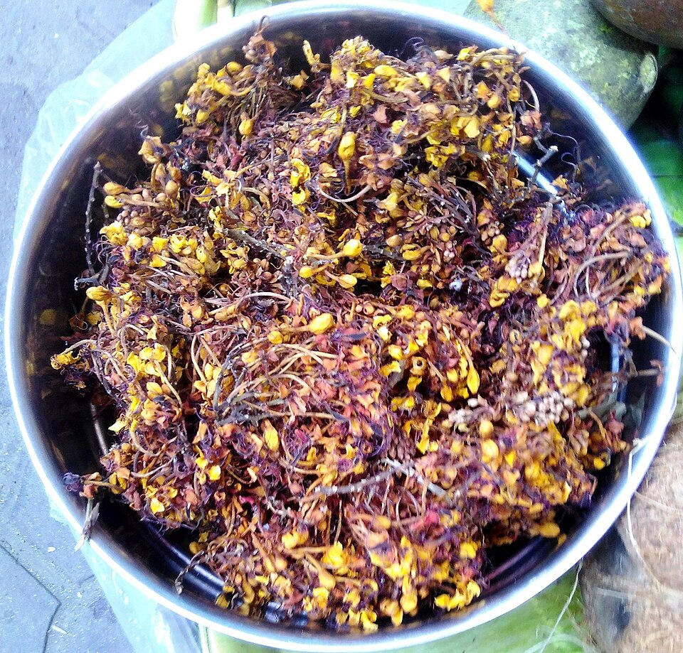 Fayl:Dried Ashoka flower (Saraca asoca).jpg