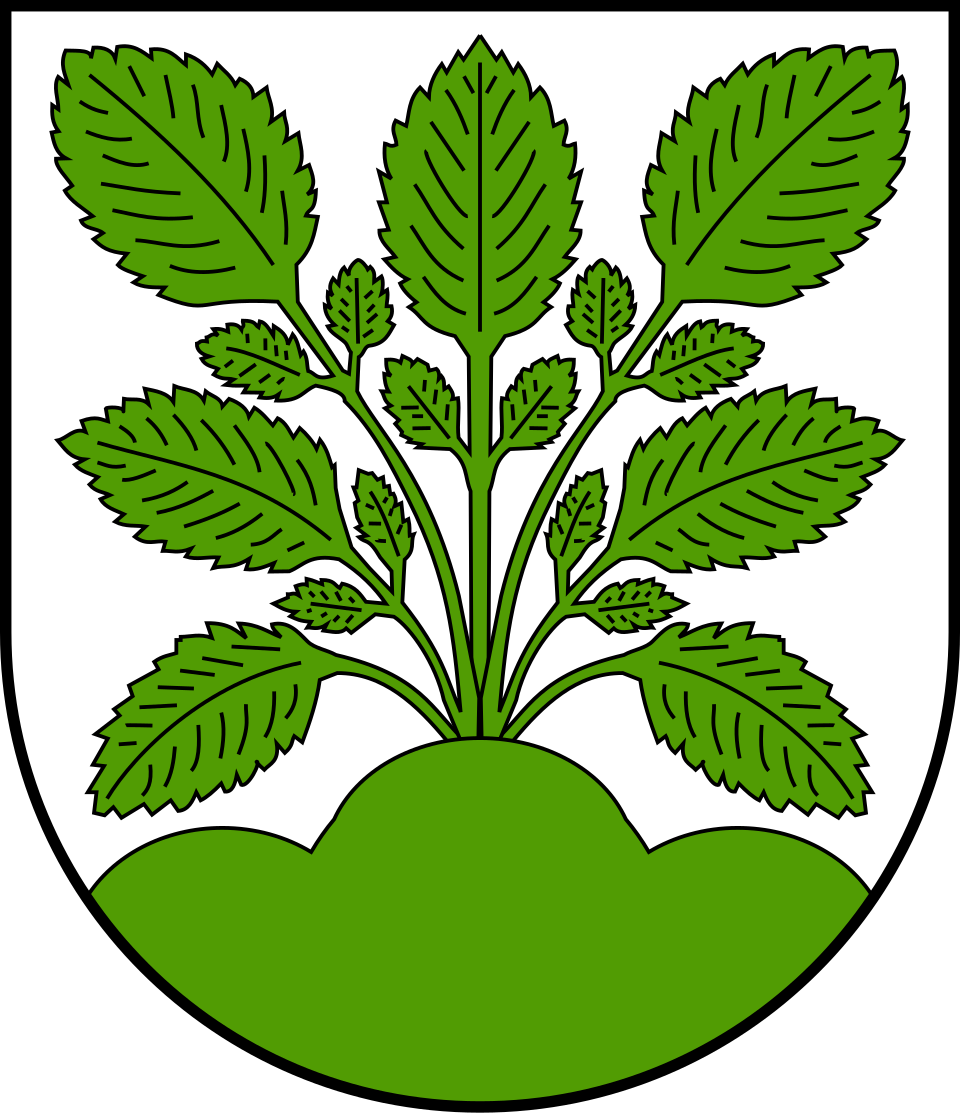 Fayl:Escudo de Hasel.svg