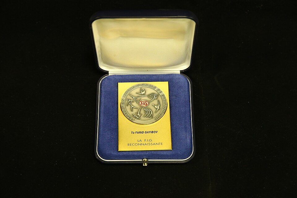 Fayl:FIG Reconnaissante Medal.jpg