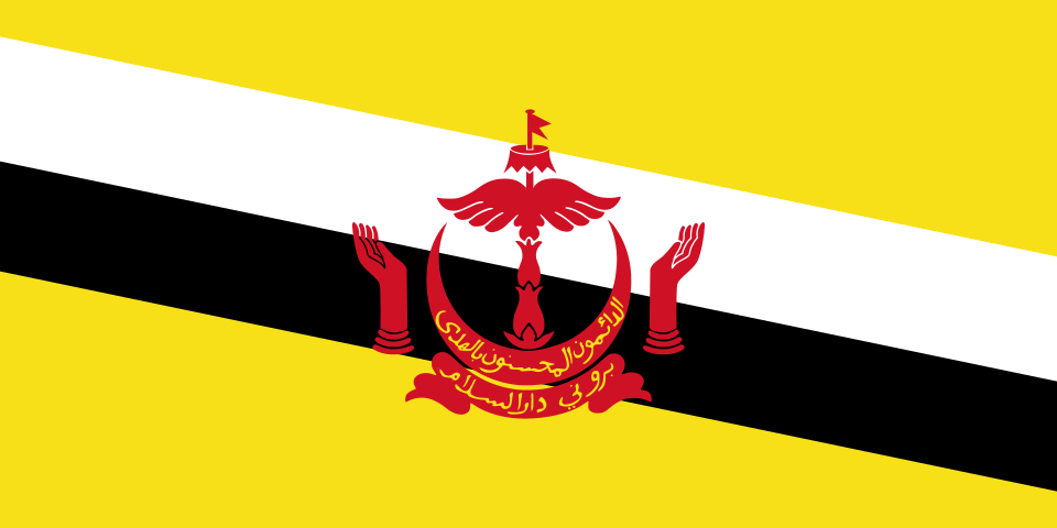 Fayl:Flag of Brunei.svg