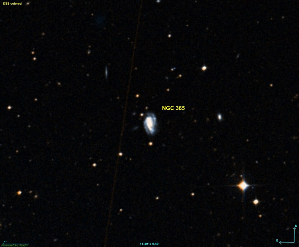 Fayl:NGC 0365 DSS.jpg
