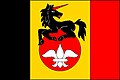 Flag of Slezské Pavlovice